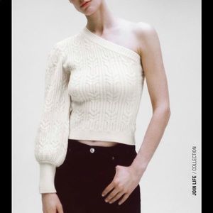 Zara One Sleeve Chunky Cable-knit Sweater